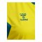 Hummel AUTHENTIC PL Trikot Damen Gelb F6829 - gelb