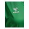 Hummel AUTHENTIC PL Trikot Damen Grün F6235 - gruen