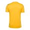 Hummel AUTHENTIC PL Trikot Gelb F5167 - gelb