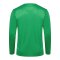 Hummel AUTHENTIC PL Trikot Grün F6235 - gruen