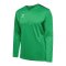 Hummel AUTHENTIC PL Trikot Grün F6235 - gruen