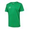 Hummel Authentic Pl Trikot Kids Grün F6235 - gruen