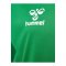 Hummel Authentic Pl Trikot Kids Grün F6235 - gruen