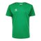 Hummel Authentic Pl Trikot Kids Grün F6235 - gruen