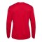 Hummel AUTHENTIC PL Trikot Rot F3062 - rot