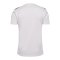 Hummel AUTHENTIC PL Trikot Weiss F9402 - weiss
