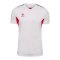 Hummel AUTHENTIC PL Trikot Weiss F9402 - weiss
