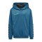 Hummel Authentic Poly Hoody Kids Türkis F8745 - tuerkis