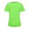 Hummel Authentic Poly Trikot kurzarm Damen F6750 - gruen