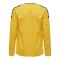 Hummel Authentic Poly Trikot langarm Kids F5115 - gelb