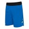 Hummel Blaze Pro Training Short Blau F8650 - blau