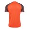 Hummel Blaze Pro Training Trikot Orange F4127 - orange