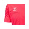 Hummel CHEVRON Torwarttrikot Pink F3648 - pink