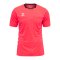 Hummel CHEVRON Torwarttrikot Pink F3648 - pink