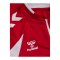 hummel Core 2.0 Half Zip Top Kids Rot F3946 - rot
