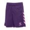 hummel Core 2.0 Short Kids Rot F3935 - rot