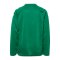 hummel Core 2.0 Sweatshirt Kids Grün F6129 - gruen