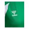 hummel Core 2.0 Trikot Damen Grün F6129 - gruen