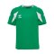 hummel Core 2.0 Trikot Kids Grün F6129 - gruen