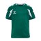 hummel Core 2.0 Trikot Kids Grün F6131 - gruen