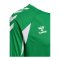 hummel Core 2.0 Trikot Langarm Grün F6129 - gruen