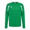 hummel Core 2.0 Trikot Langarm Grün F6129 - gruen