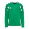 hummel Core 2.0 Trikot Langarm Kids Grün F6129 - gruen