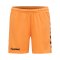 Hummel Core GK Torwarttrikotset Kids Orange F5006 - orange