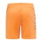 Hummel Core GK Torwarttrikotset Kids Orange F5006 - orange