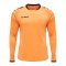 Hummel Core GK Torwarttrikotset Kids Orange F5006 - orange