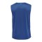 Hummel hmlCORE Basket Trikot Blau F7045 - blau