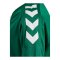 Hummel Core XK Poly Trikot Kids Grün F6140 - gruen
