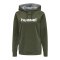 Hummel Cotton Logo Hoody Damen Grün F6084 - gruen