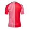 hummel DBU 86 Replica Trikot Rot F3148 - rot