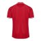 hummel DBU Trikot Home 2026 Rot F3365 - rot
