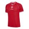 hummel DBU Trikot Home 2026 Rot F3365 - rot