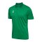 Hummel Essential Polo Grün F6235 - gruen