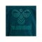 Hummel Fastwo Lime Sweatshirt Kids Blau F6470 - blau