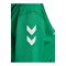 Hummel Go 2.0 Chevron Kapuzenjacke Damen Grün F6235 - gruen