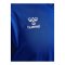 Hummel hmlAUTHENTIC PL langarm Trikot Blau F7045 - blau