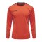Hummel hmlAUTHENTIC Poly Trikot langarm Rot F3487 - rot
