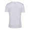 Hummel hmlAUTHENTIC Poly Trikot Weiss F9001 - weiss