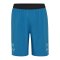 Hummel hmlAUTHENTIC Pro Woven Short Blau F8745 - blau