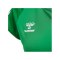 Hummel hmlCORE VOLLEY Stretch T-Shirt Damen F6235 - gruen