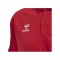 Hummel hmlCORE XK Functional Poloshirt Rot F3062 - rot