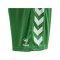 Hummel hmlCORE XK Poly Short Kids Grün F6235 - gruen