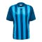 Hummel hmlCORE XK Striped Trikot Blau F7096 - blau