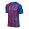 Hummel hmlCore XK Striped Trikot Blau F7358 - blau