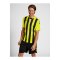 Hummel hmlCORE XK Striped Trikot Grün F5047 - gruen
