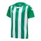 Hummel hmlCore XK Striped Trikot Kids Grün F6129 - gruen